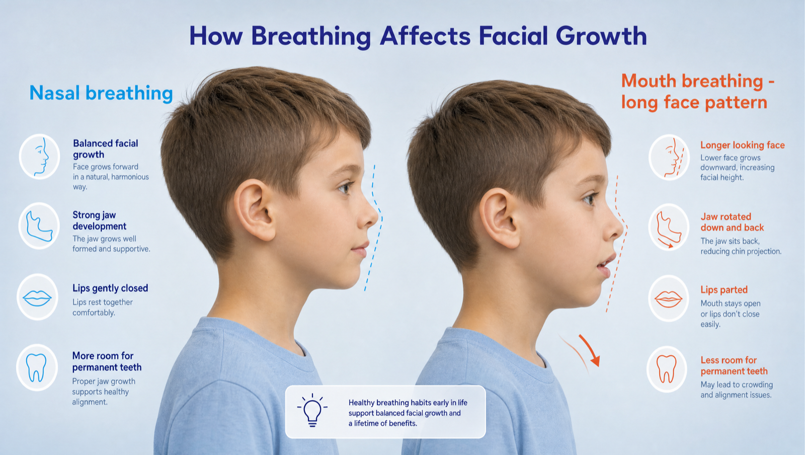 How breathing affects facial growth — nasal breathing vs the mouth-breathing long-face pattern